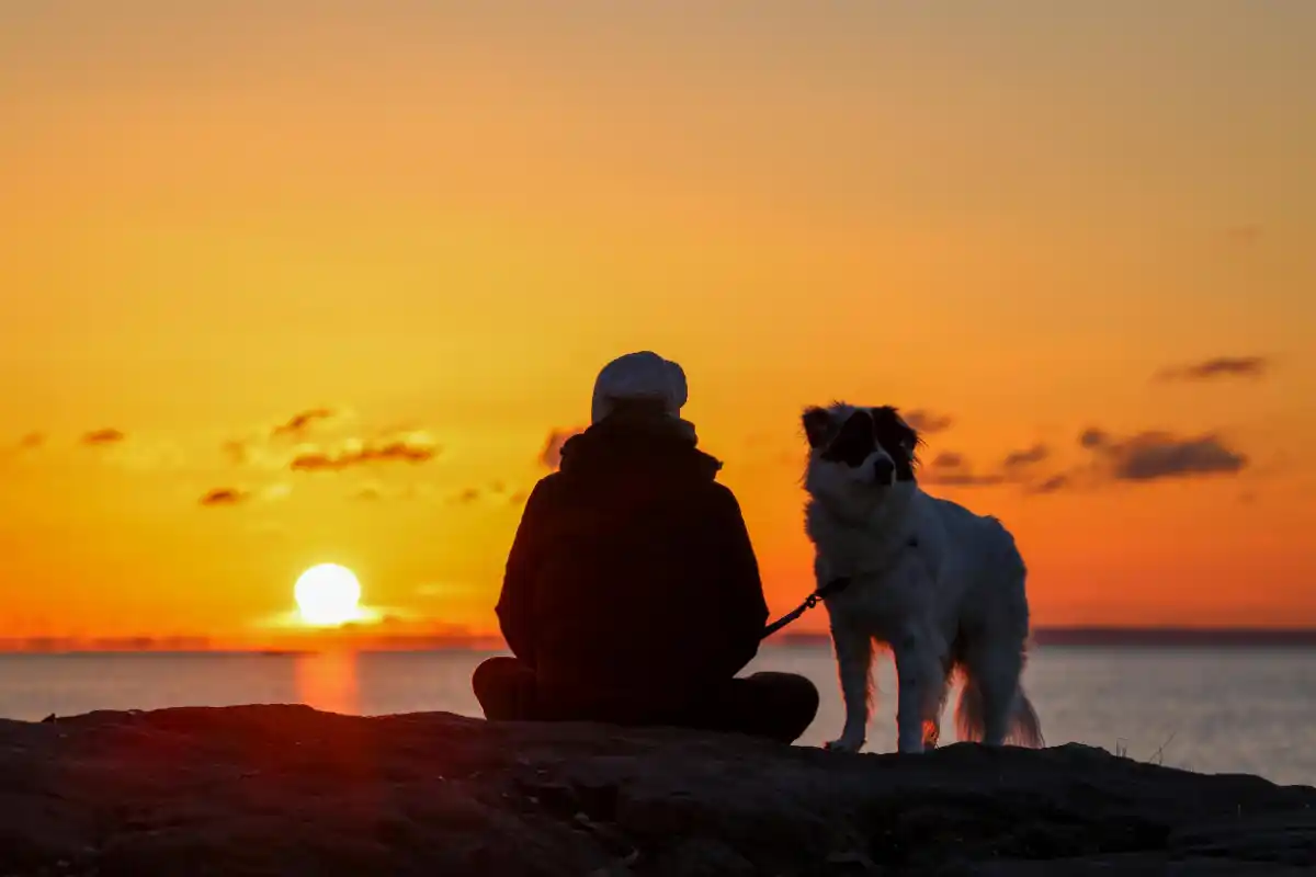 Vacanze-con-animali-domestici